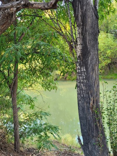 Panorámica del río Chubut en Gaiman