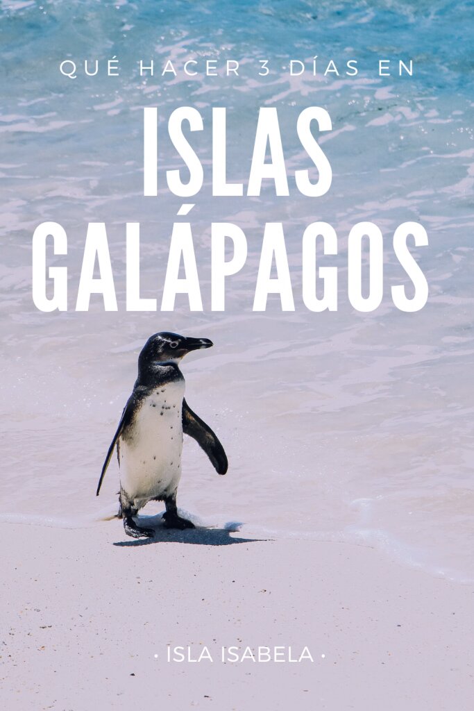 turismo en isabela galapagos