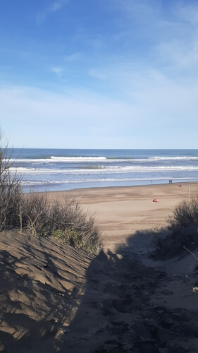 Playas con médanos en el partido de Pinamar