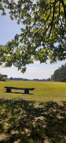 Parque verde en la Campiña de monica y cesar