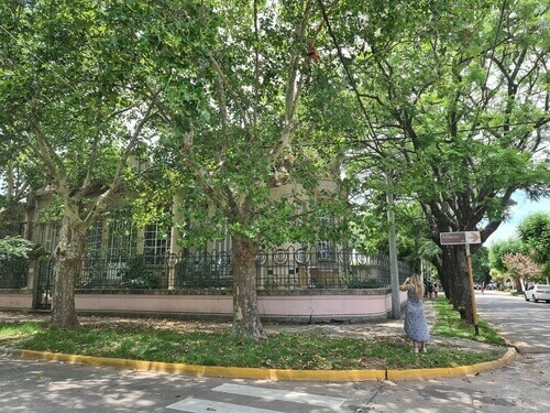 casa antigua restaurada con árboles en la vereda ubicada en el casco histórico de san pedro, argentina