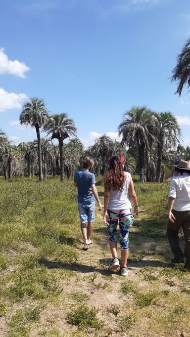 Personas caminando en un campo con palmeras en concrodia entre rios