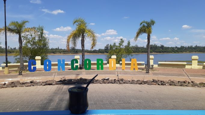 mate en el cartel de concordia en la costanera con palmeras