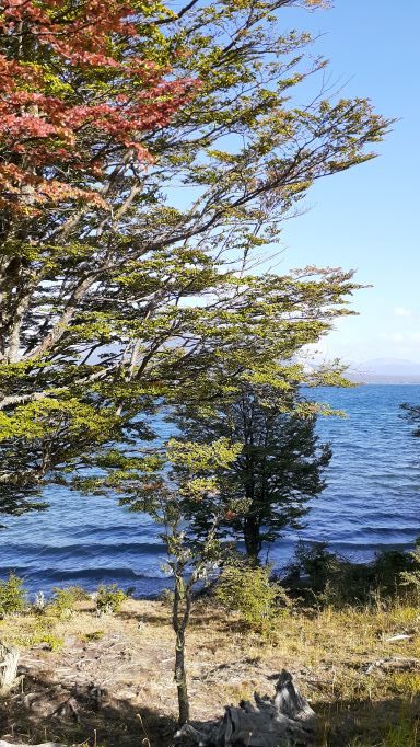 lugares imperdible en toluin tierra del fuego