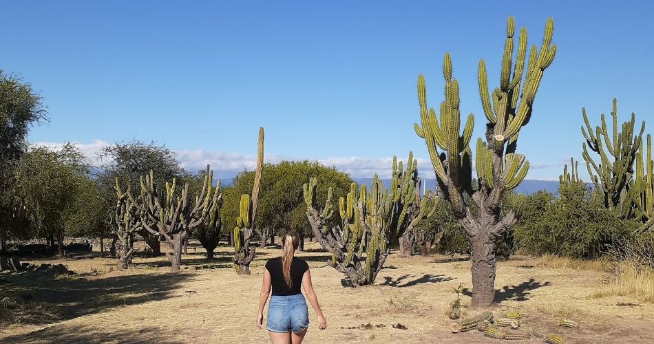 Turismo en San Fernando del Valle de Catamarca