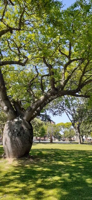 plaza Eduardo costa, campana bs as