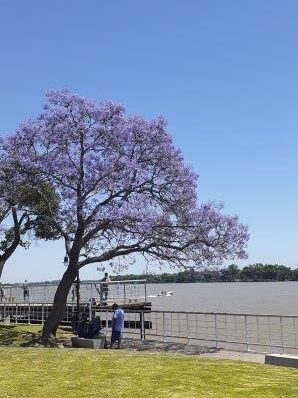 que visitar en Campana: la costanera