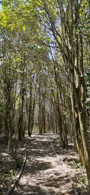 Turismo en Campana PN Ciervo de los Pantanos