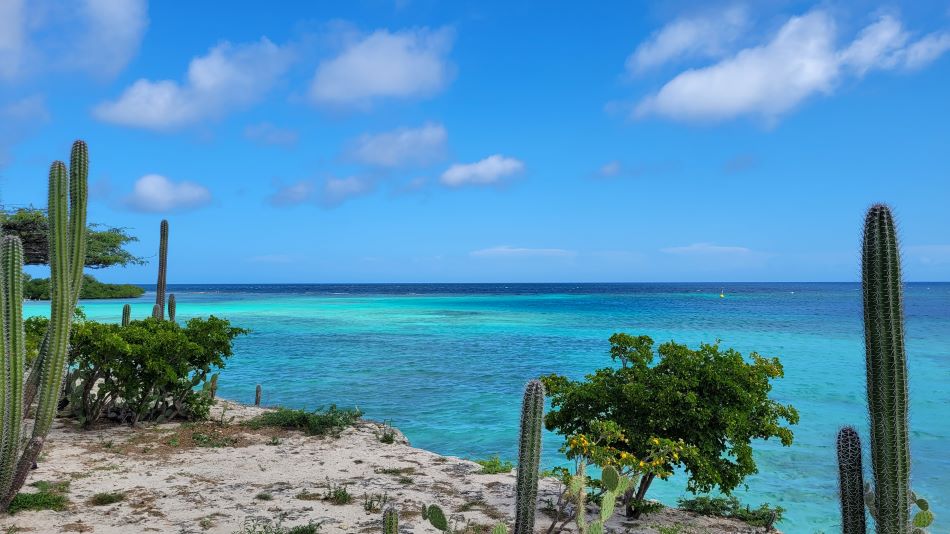 viajar con asistencia al viajero