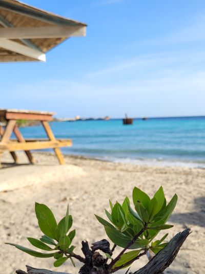 playa caracas bay curacao