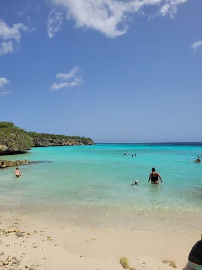 playa cerdos de curazao