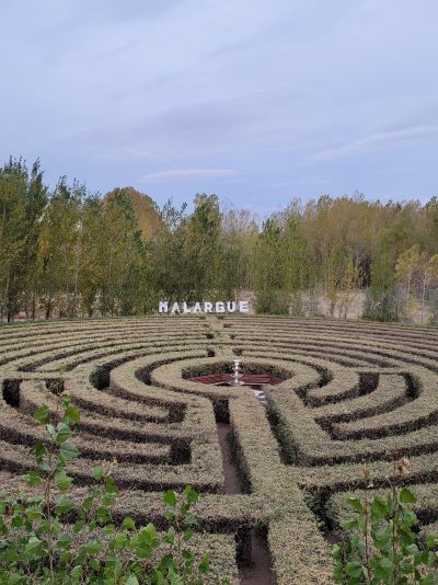 laberinto en Mendoza