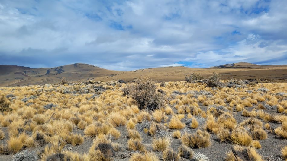 Malargüe turismo - Vista panorámica de la payunia