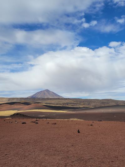 La Payunia mendoza turismo