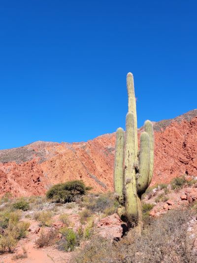 uquia en jujuy