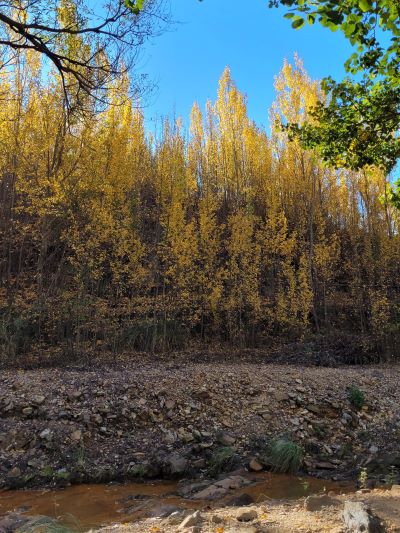 postales la carolina SL Argentina