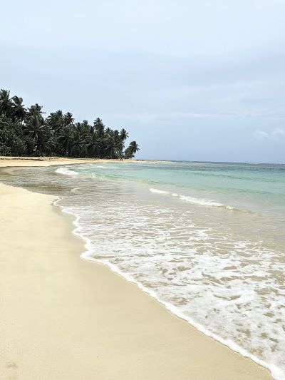 las terrenas samana