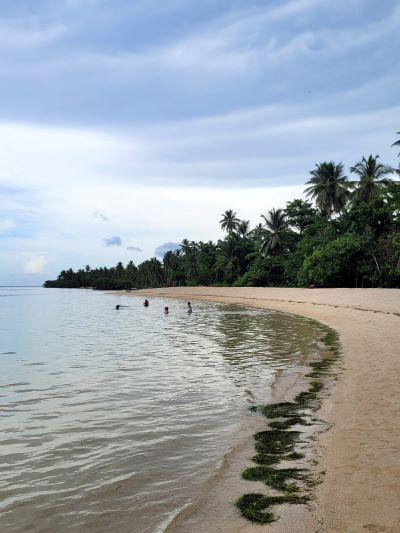 playa las terrenas