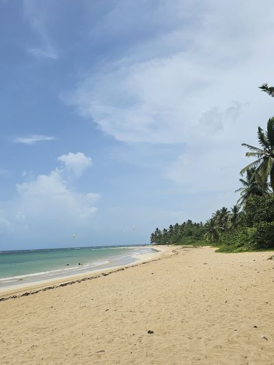 playa poncho las terrenas