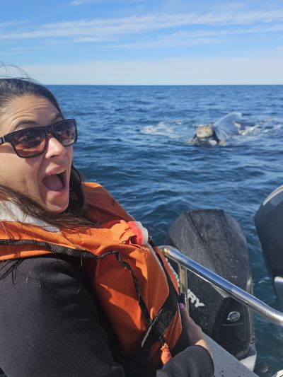 avistaje ballenas en argentina