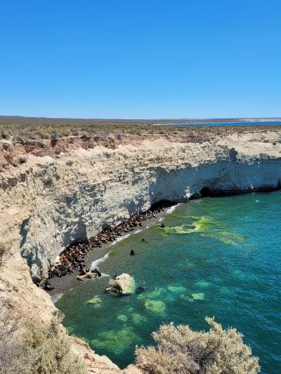 paisajes madryn chubut