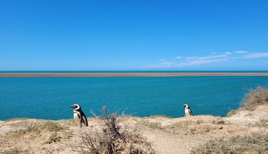 turismo en puerto madryn