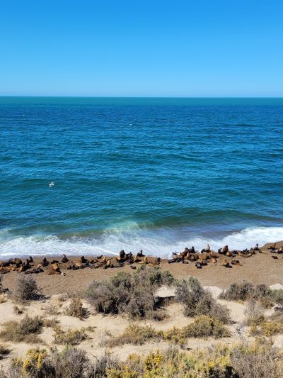 turismo en puerto madryn