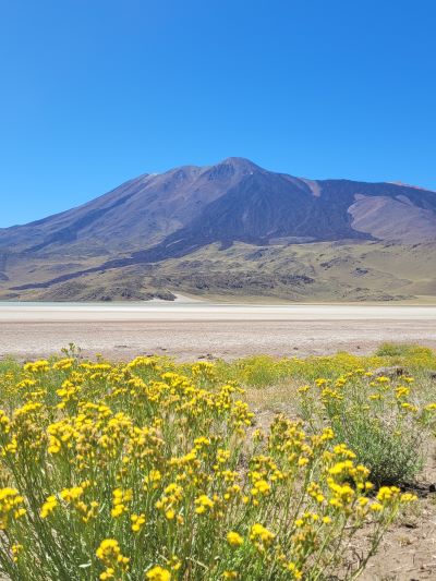 laguna tromen neuquen