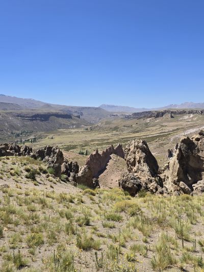 los bolillos capadocia de argentina