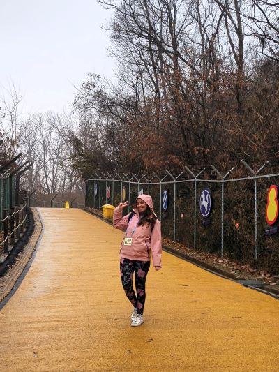 es seguro visitar la zona desmiliariazada corea