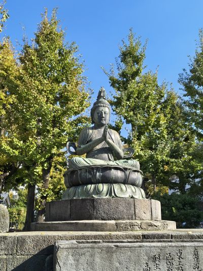 como es viajar a japon