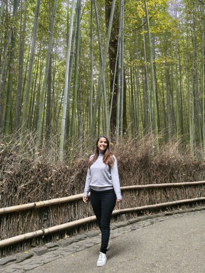 diario de viaje japon