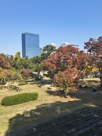 parque en tokio