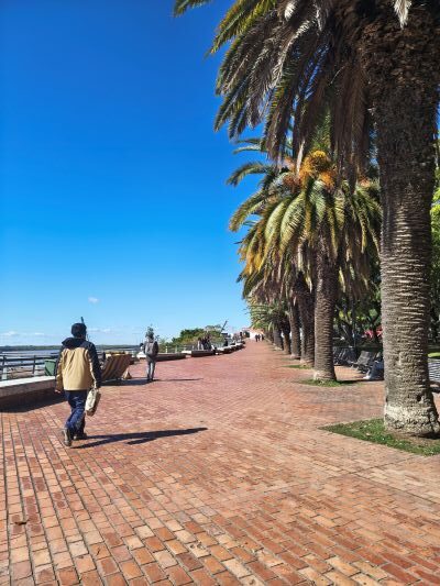 que ver en rosario en verano