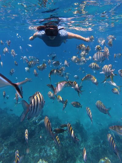 snorkel puerto plata
